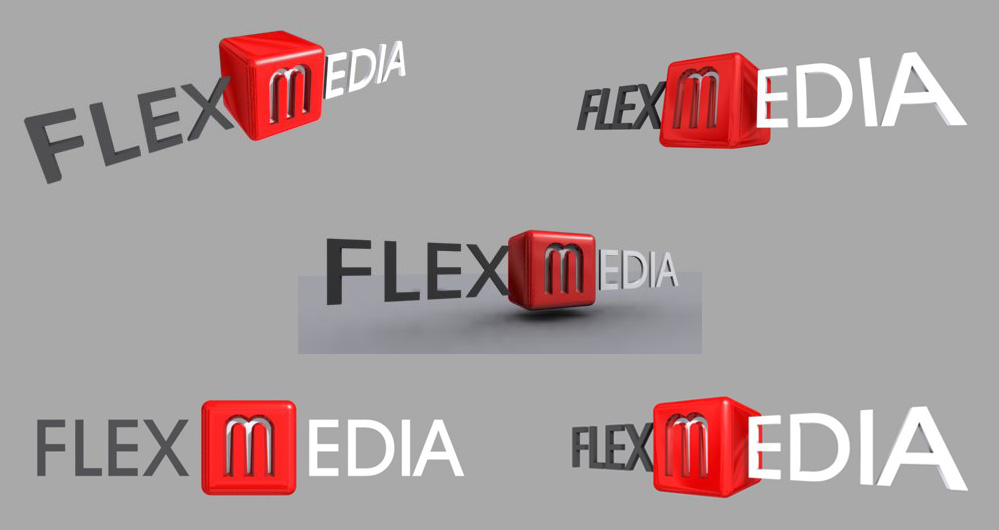 Logo Flexmedia